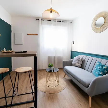 Daire Jana House - Hypercentre - Gare - Netflix Toulouse