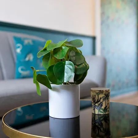 Jana House - Hypercentre - Gare - Netflix