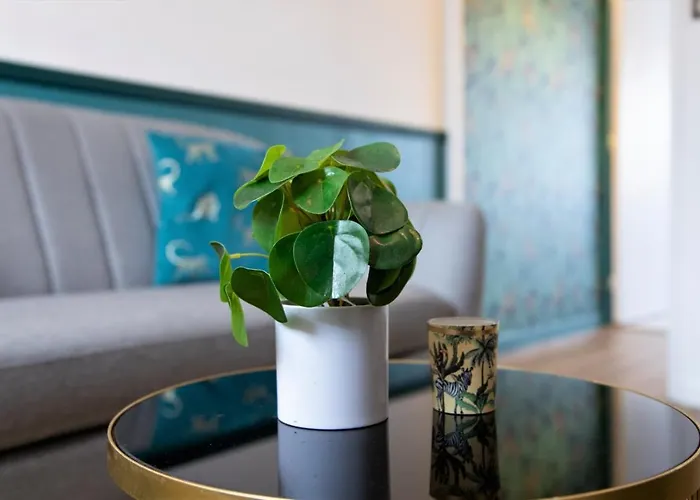 Jana House - Hypercentre - Gare - Netflix